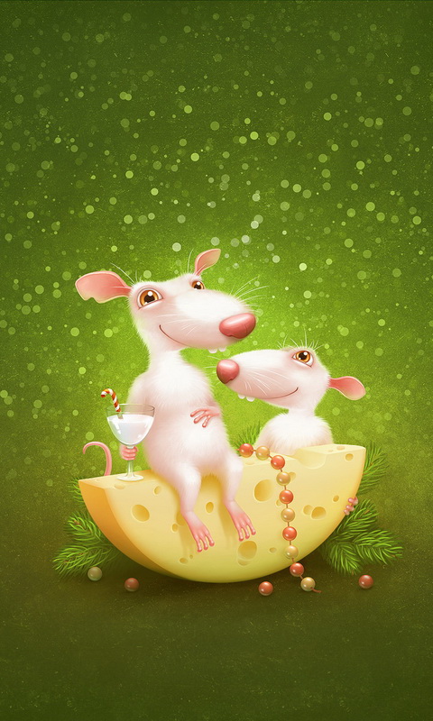 两只白老鼠在奶酪旁480×800手机壁纸
