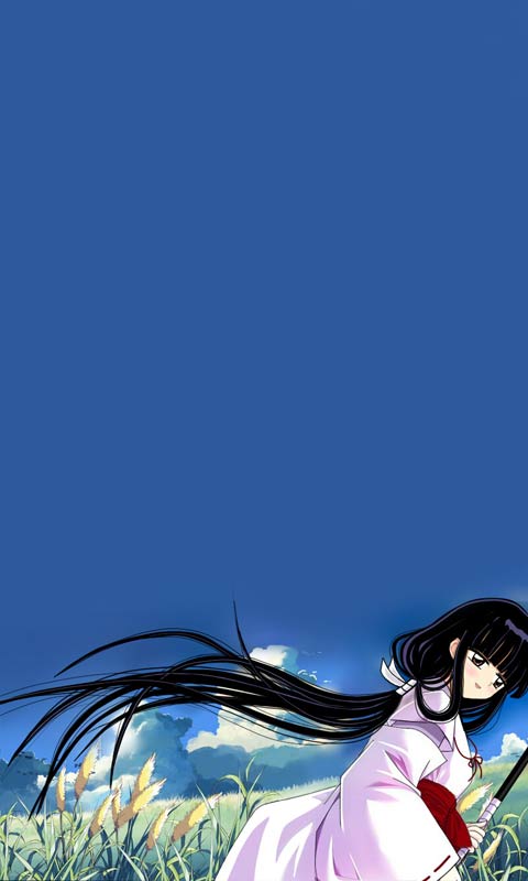 桔梗清新480×800手机壁纸