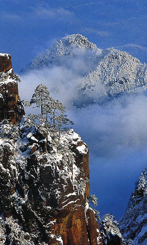 黄山清爽雪景480×800手机壁纸