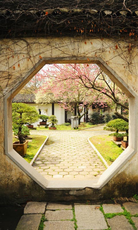 武汉城市风景-寂静唯美的磨山480×800手机壁纸