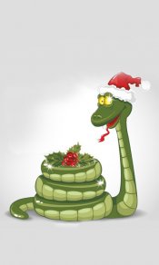 圣诞装扮的蛇480×800手机壁纸