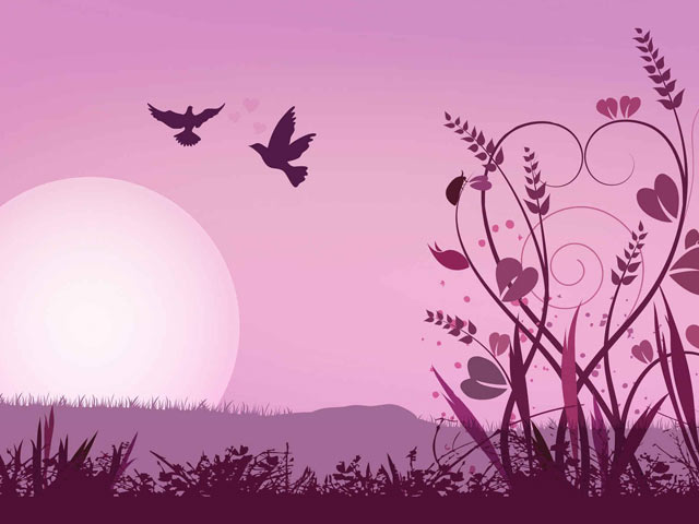 浪漫紫色绘画，月前伴飞的鸟儿640×480手机壁纸