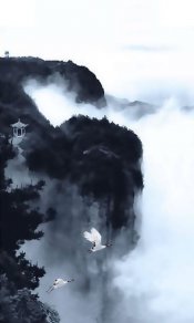 两只白鹤飞翔在雾气笼罩的山间的中国画手机壁