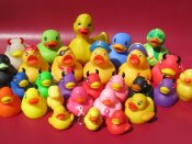 各种各样颜色的小鸭子组成的鸭子家族手机壁纸