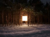 黑夜里树林中的灯光，创意摄影手机壁纸图片下载（4）