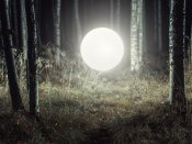 黑夜里树林中的灯光，创意摄影手机壁纸图片下载（5）