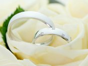 好看的情侣戒指，结婚戒指640×480手机壁纸图片下载（2）