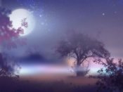 浓雾的小树林，明亮的月亮下朦胧的美丽手机壁