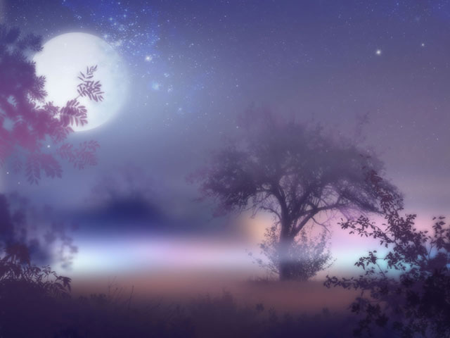 浓雾的小树林，明亮的月亮下朦胧的美丽手机壁纸图片