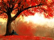 红枫林下依偎的情侣唯美640×480手机壁纸图片