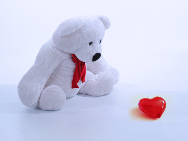 发现爱情的玩具熊可爱手机壁纸图片