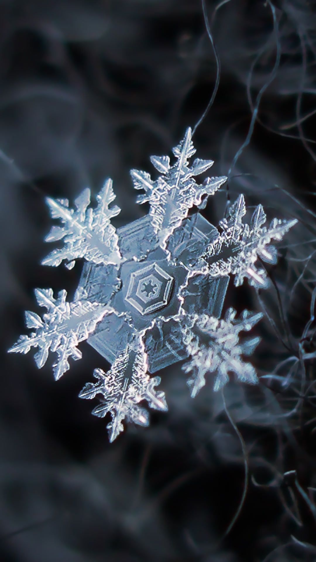 晶莹剔透，微距摄影雪花晶体高清手机壁纸图片