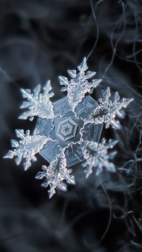 晶莹剔透，微距摄影雪花晶体高清手机壁纸图片