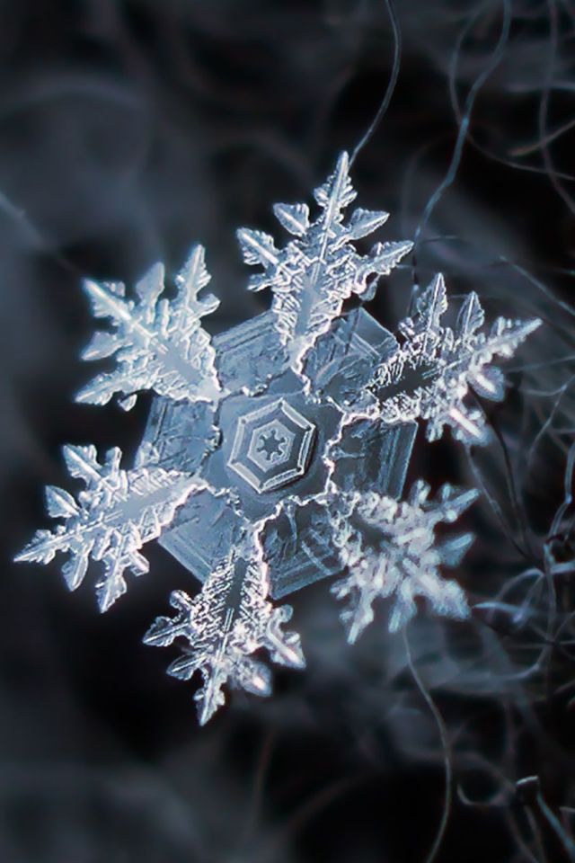 晶莹剔透，微距摄影雪花晶体高清手机壁纸图片