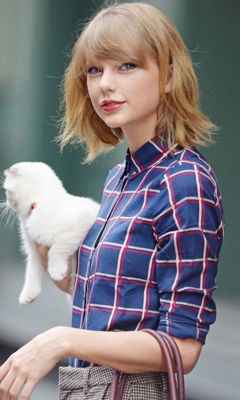 抱着白猫的泰勒·斯威夫特(Taylor Swift)蓝格子衬衫可爱手机壁纸