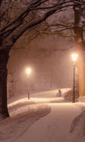 下着雪的冬夜里，两盏路灯点亮弯曲雪白的小路