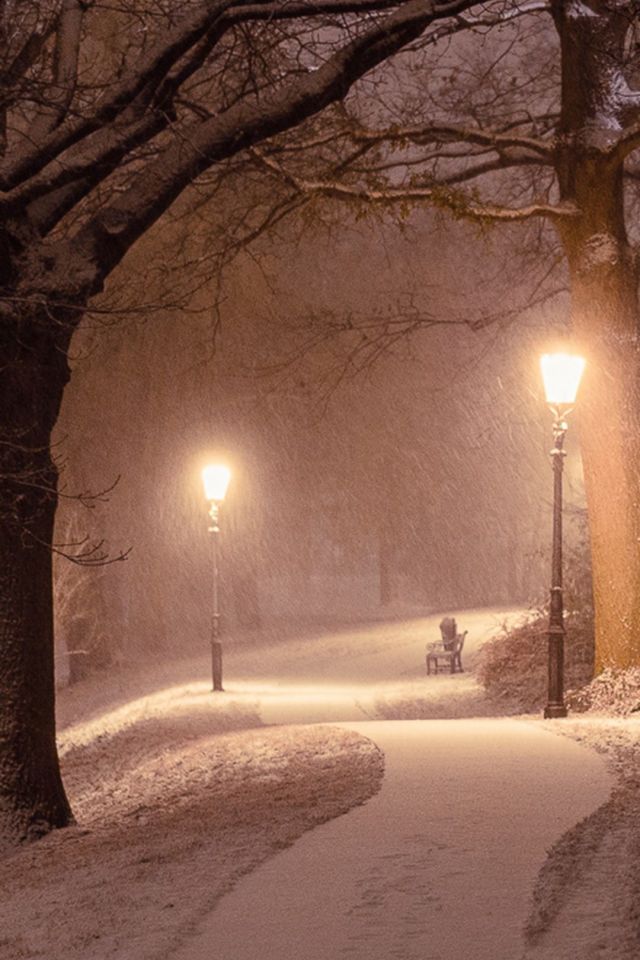 下着雪的冬夜里，两盏路灯点亮弯曲雪白的小路手机壁纸图片