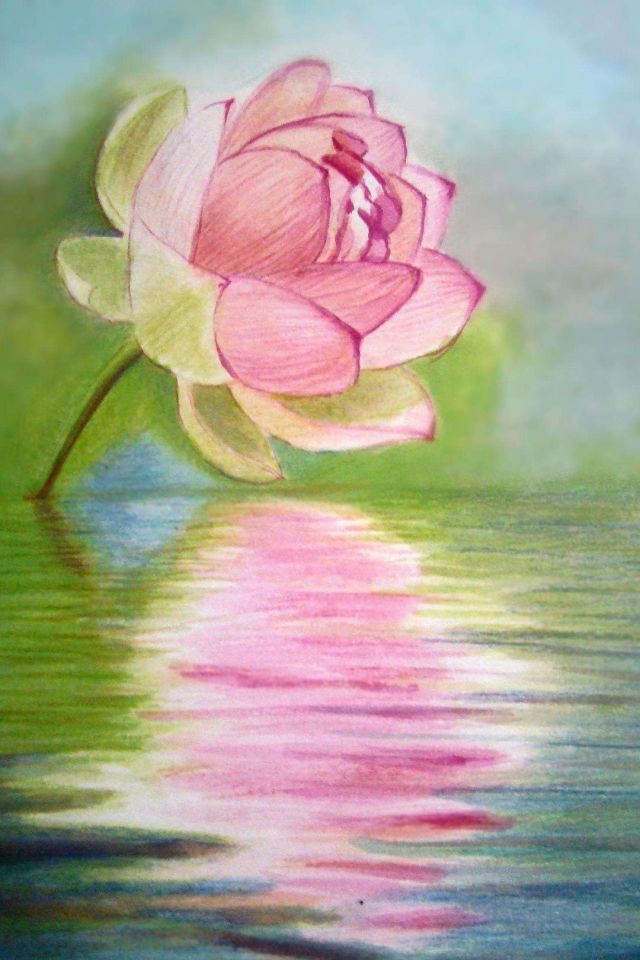 水面倒映荷花婆娑身影的水彩插画意境手机图片壁纸