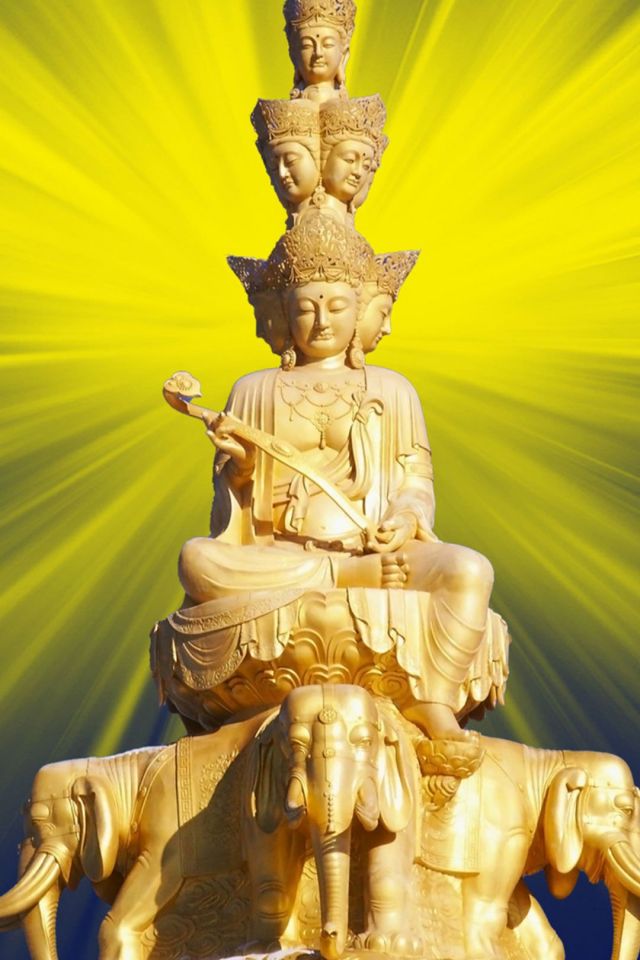 手拿如意，坐在象上的金身发光普贤菩萨像手机壁纸图片