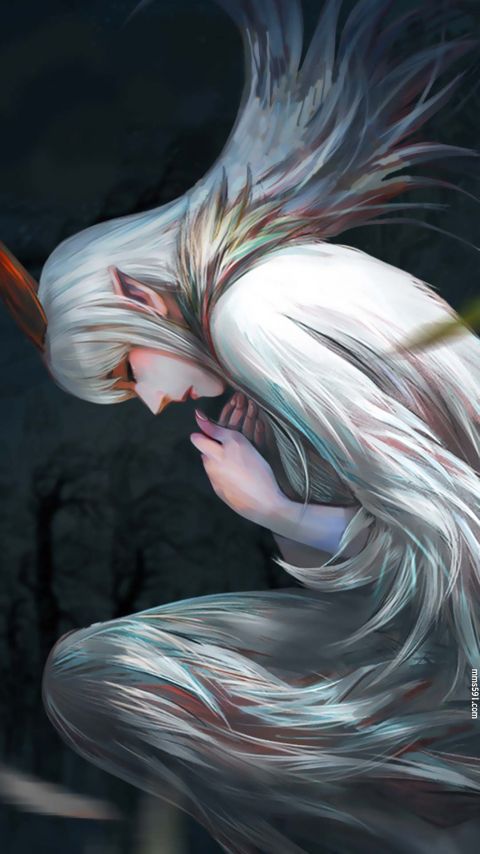 西行纪封面龙宫公主天羽织小羽手机图片壁纸