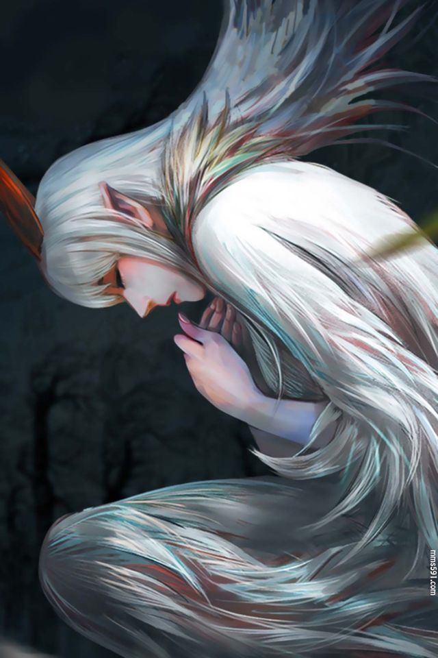 西行纪封面龙宫公主天羽织小羽手机图片壁纸