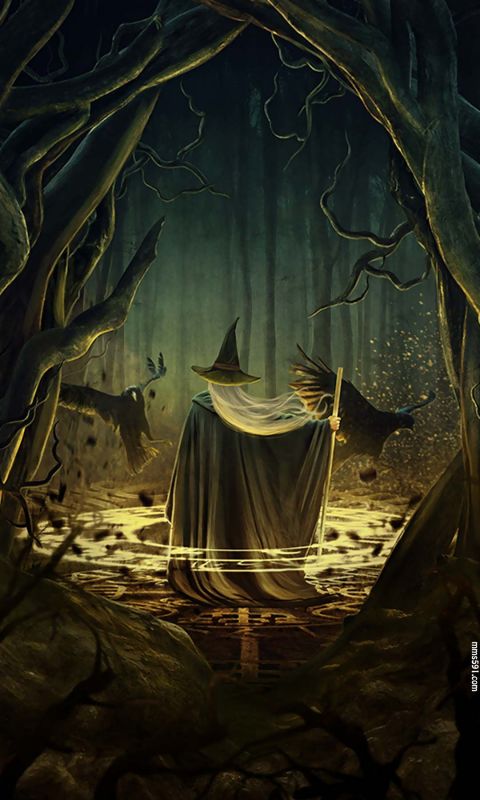 尖帽男巫师在幽暗的森林中施展法术的诡异神秘手机壁纸图片 591彩信网