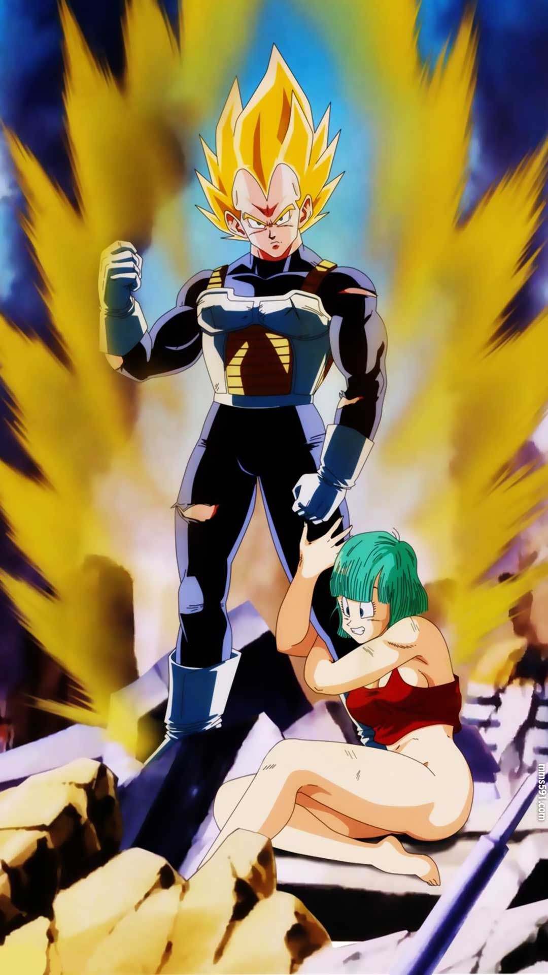 七龙珠贝吉塔布尔玛在一起的图片手机背影