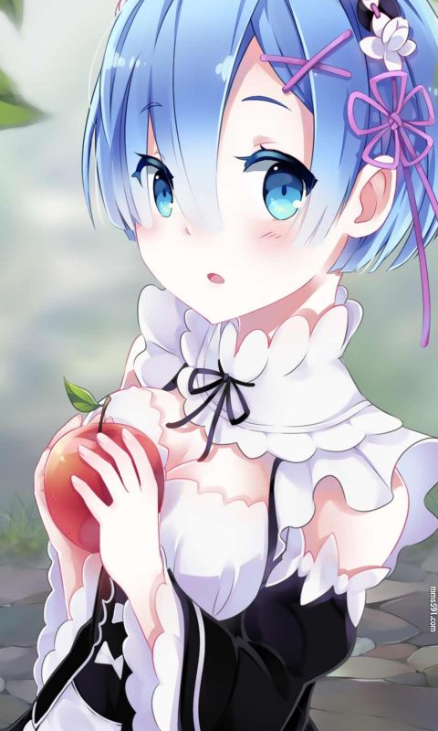 Re:从零开始的异世界生活蓝头发女仆雷姆Rem手机壁纸图片大全（3）