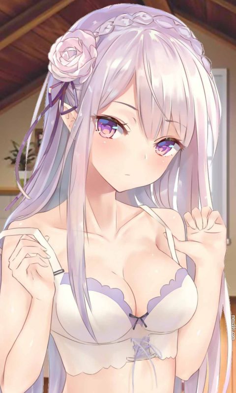 Re:从零开始的异世界生活女主角爱蜜莉雅和精灵帕克手机壁纸（9）