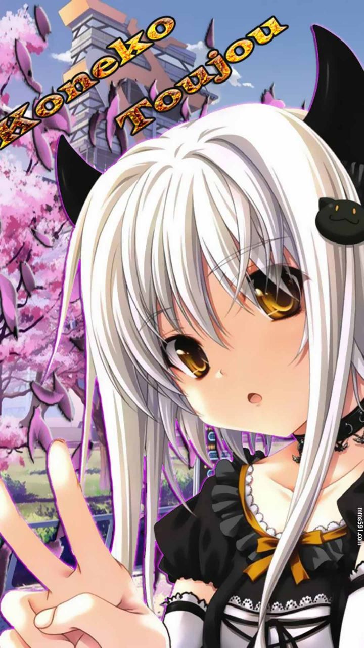 塔城白音，恶魔高中猫女塔城小猫高清福利手机壁纸图片（6）