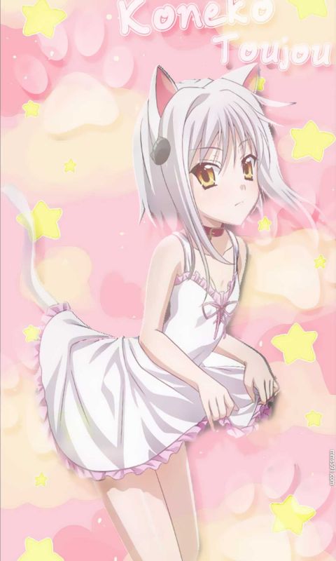 塔城白音，恶魔高中猫女塔城小猫高清福利手机壁纸图片（12）