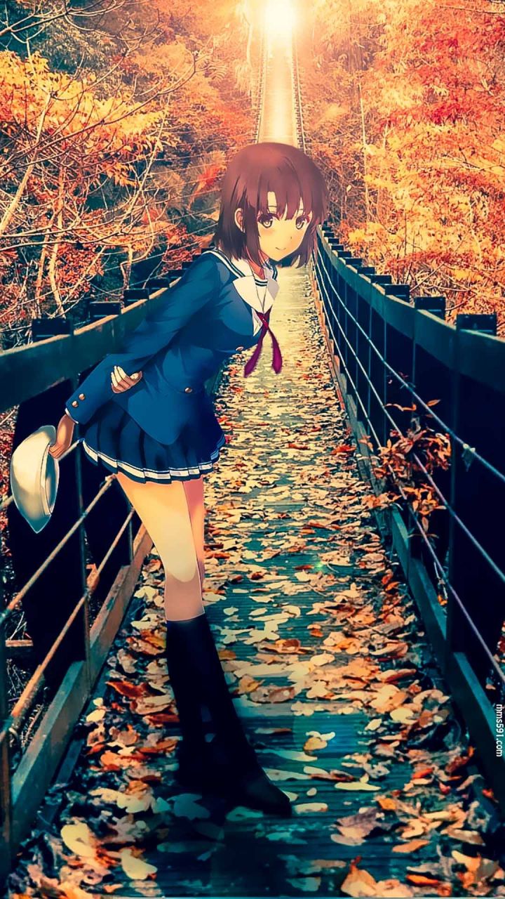 路人女主的养成方法女主角加藤惠泳衣高清1080手机壁纸大全（3）