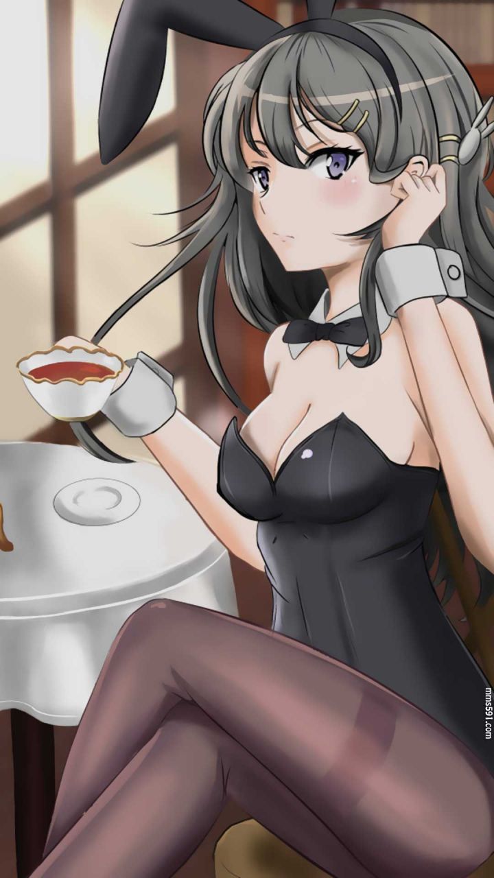 青春猪头少年系列女主角樱岛麻衣兔女丝袜性感手机壁纸高清图片（7）