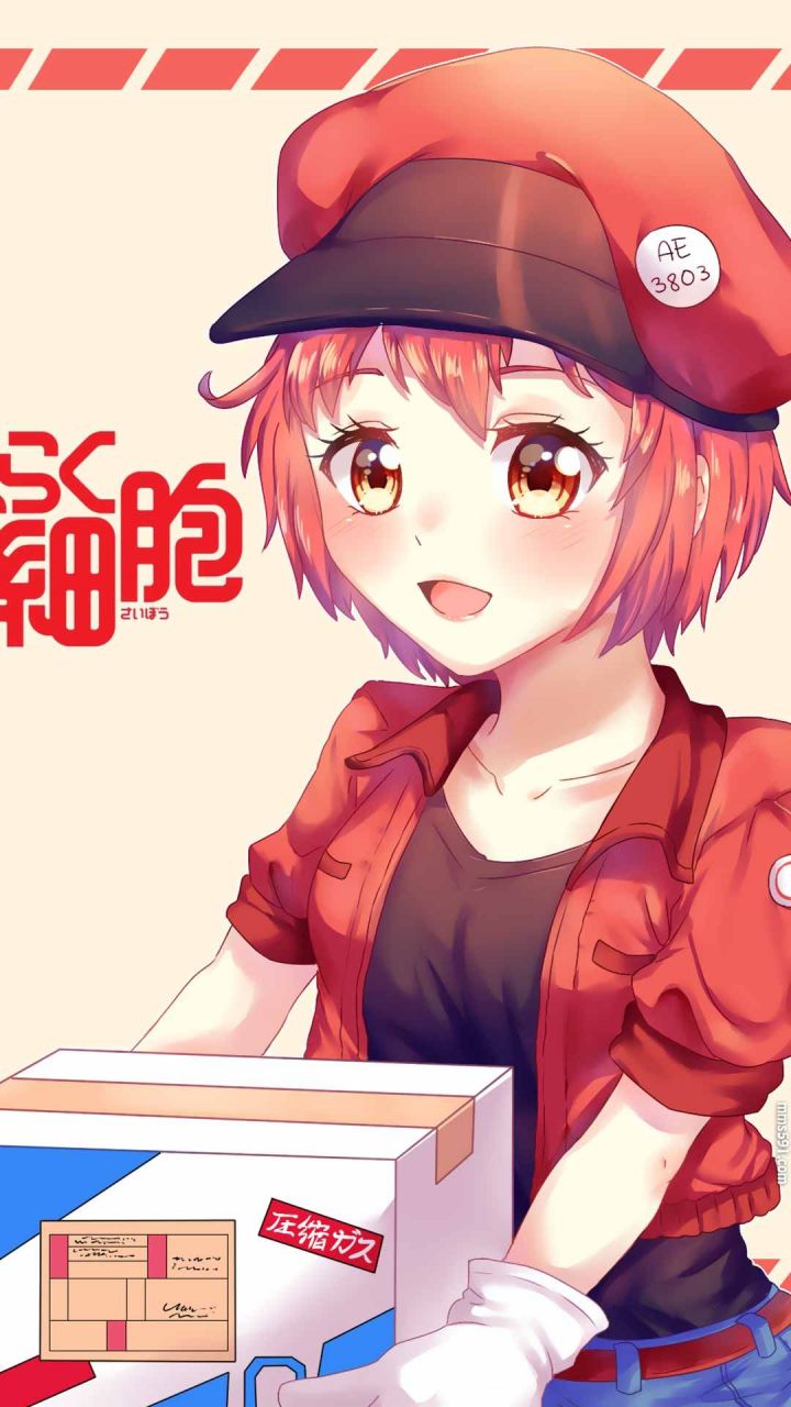 动漫工作细胞女主角红细胞同人手机壁纸图片（2）