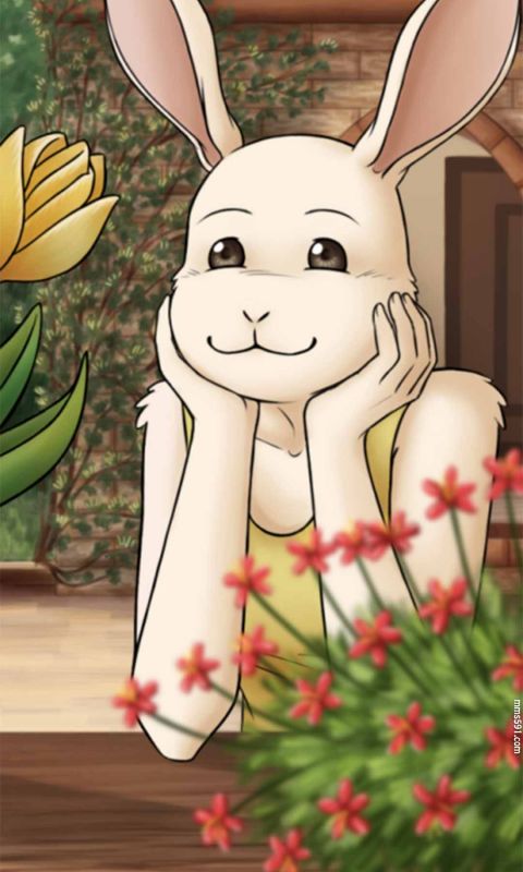 动物狂想曲女主角迷你兔子春哈鲁Haru的手机壁纸图片