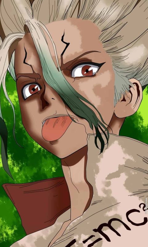 Dr.STONE 石纪元男主角葱哥石神千空手机壁纸图片集1080（7）