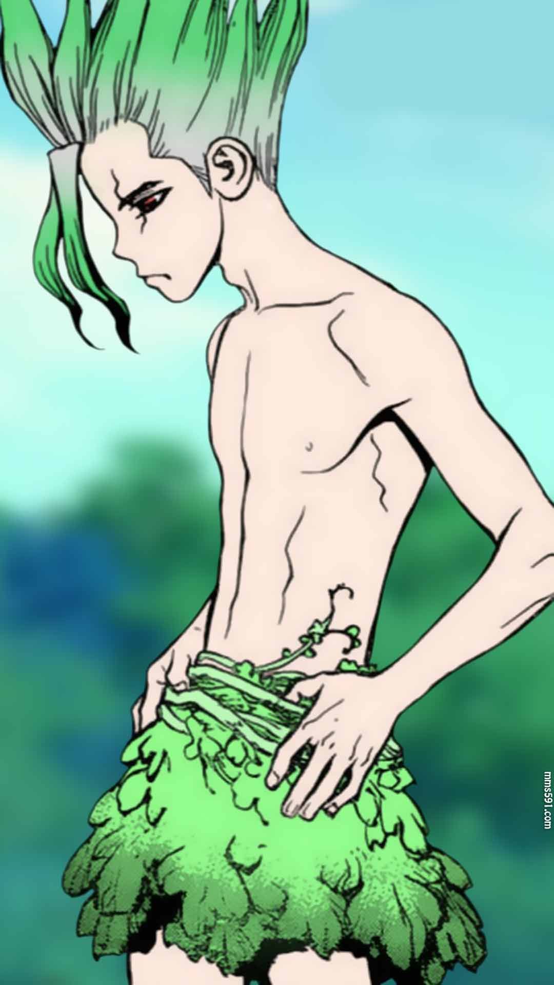 Dr.STONE 石纪元男主角葱哥石神千空手机壁纸图片集1080（8）