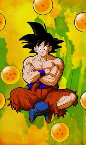 七龙珠男主角成年孙悟空Son Goku超级塞亚人各种形态超燃手机壁纸图片集