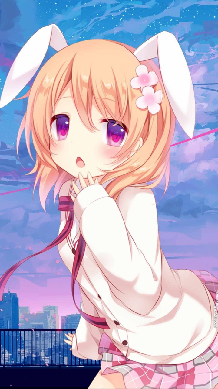 请问您今天要来点兔子吗女主角保登心爱Hoto Kokoa手机壁纸图片