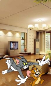 猫和老鼠Tom and Jerry手机壁纸图片（3）