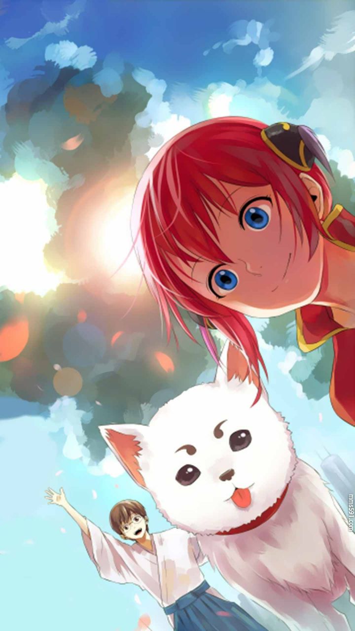 银魂女主的宠物白色狗子定春Sadaharu可爱手机壁纸图片背景下载（3）