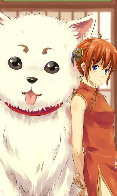 银魂女主的宠物白色狗子定春Sadaharu可爱手机壁纸图片背景下载（4）