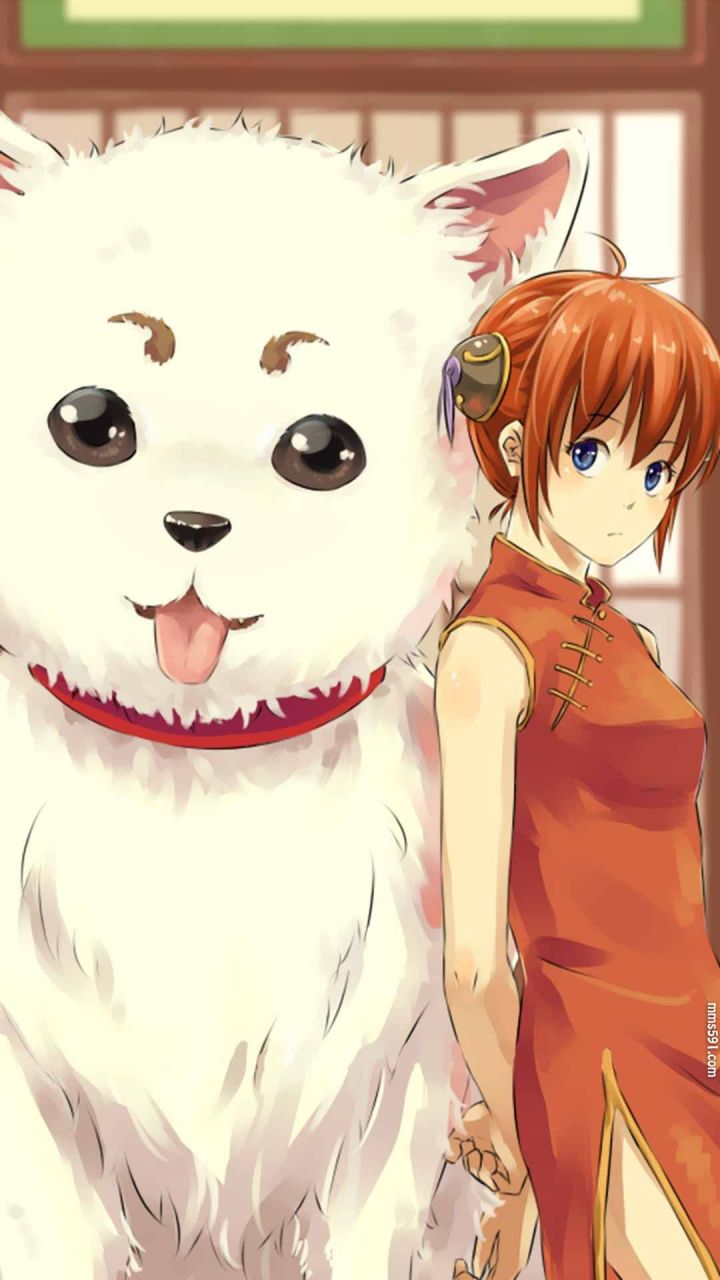 银魂女主的宠物白色狗子定春Sadaharu可爱手机壁纸图片背景下载（4）