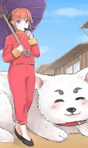 银魂女主的宠物白色狗子定春Sadaharu可爱手机壁纸图片背景下载（6）