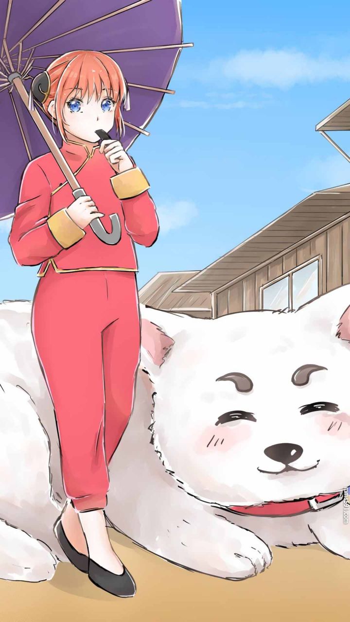 银魂女主的宠物白色狗子定春Sadaharu可爱手机壁纸图片背景下载（6）